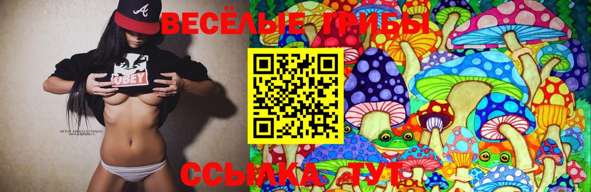 Комсомольск-на-Амуре  Галлюциногенные грибы GOLDEN TEACHER  Вход с VPN 